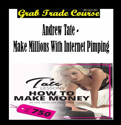 Make Millions with Internet Pimping with Andrew Tate